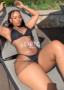 WhatsApp Porn Groups